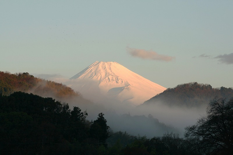 富士山画像作品