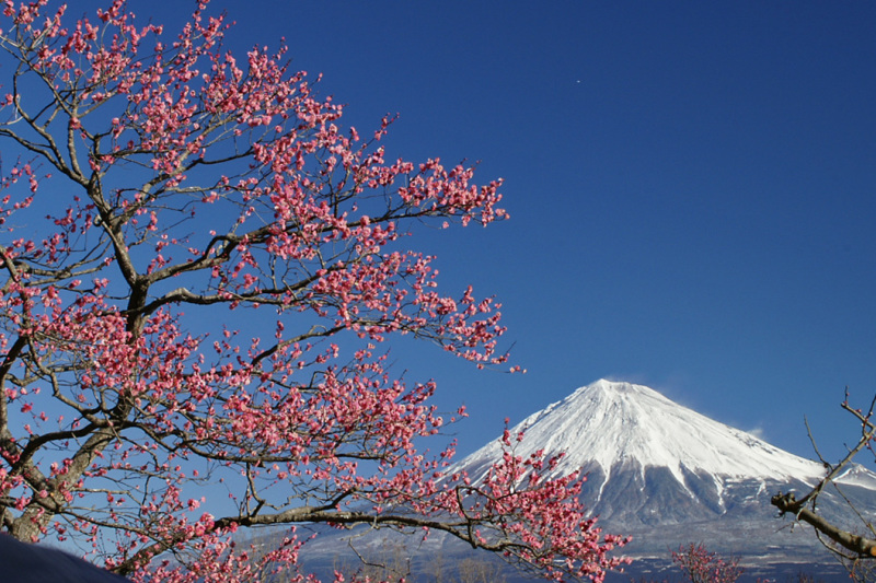 富士山画像記録