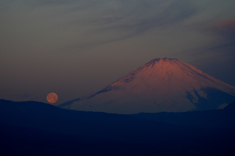 富士山画像作品