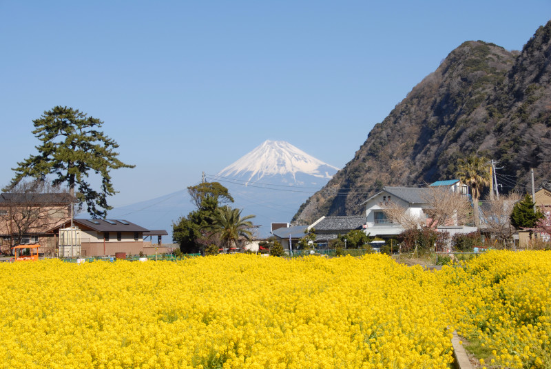 富士山画像記録