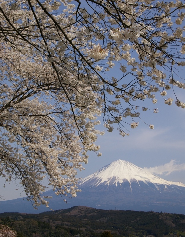 富士山画像作品