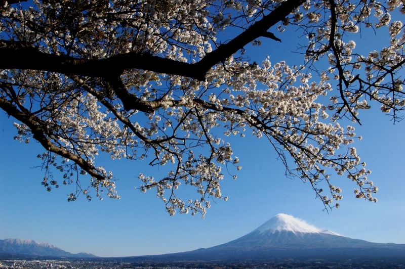 富士山画像記録