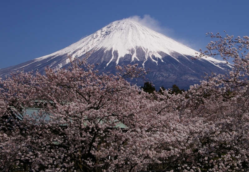 富士山画像作品