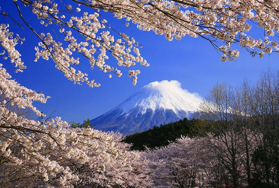 富士山画像作品