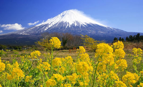 富士山画像作品