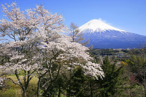 富士山画像作品