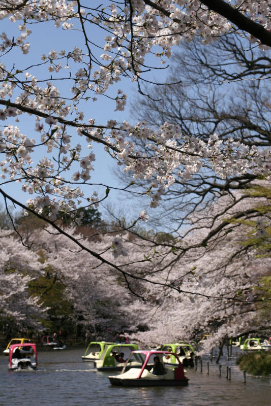 風景一般