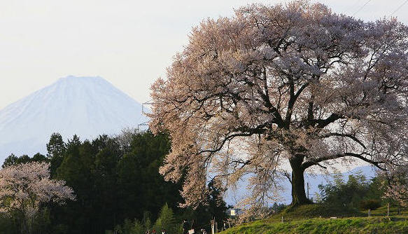 富士山画像作品