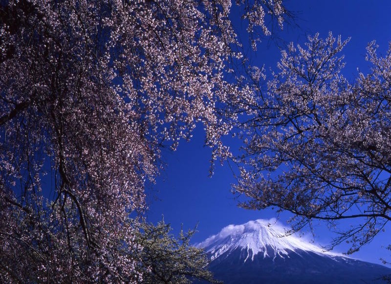 富士山画像作品