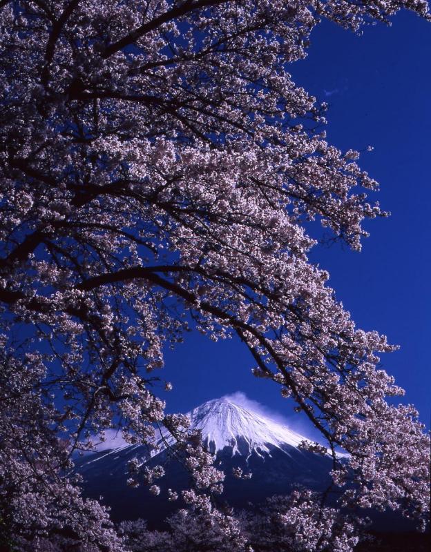 富士山画像作品