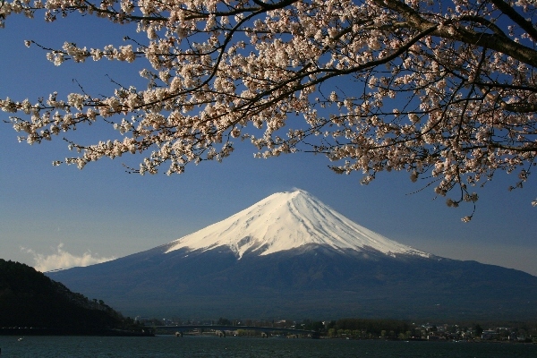 富士山画像作品