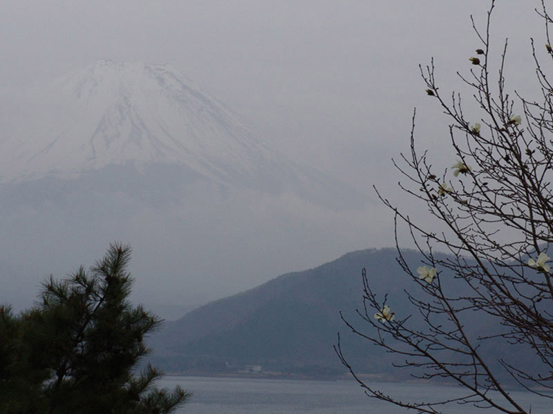 富士山画像記録