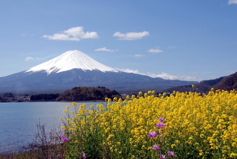 富士山画像記録