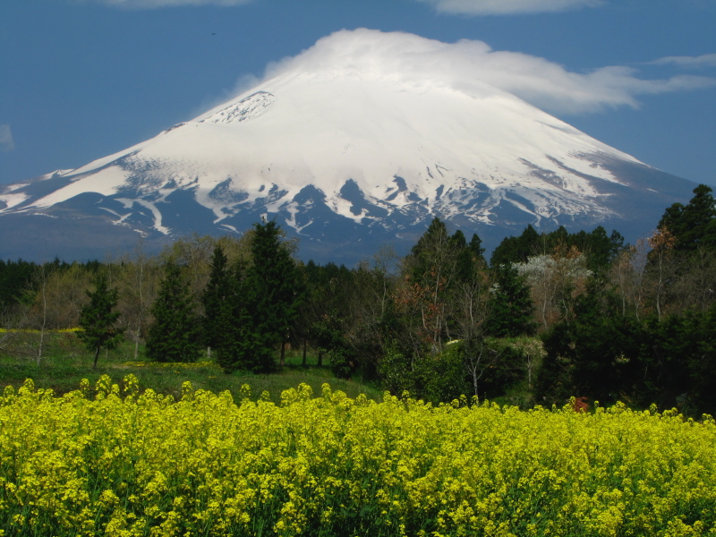 富士山画像記録