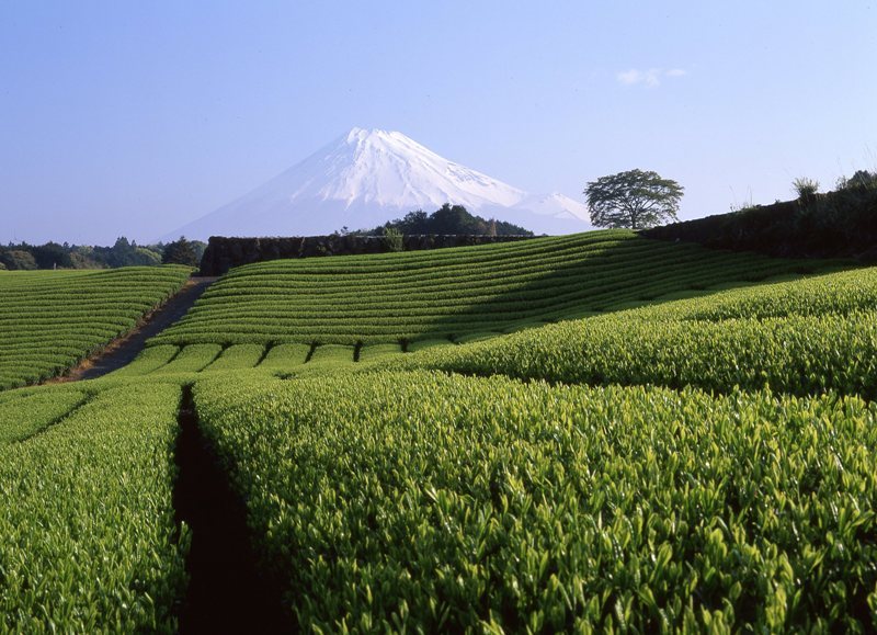 富士山画像作品