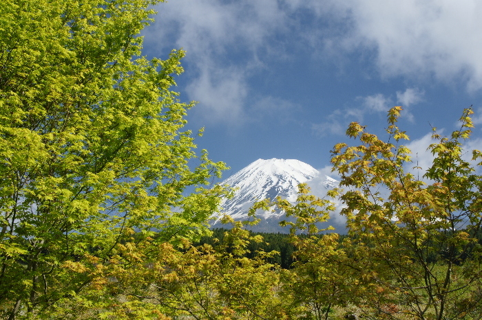 富士山画像記録