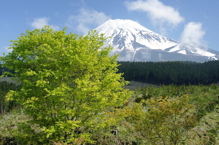 富士山画像記録