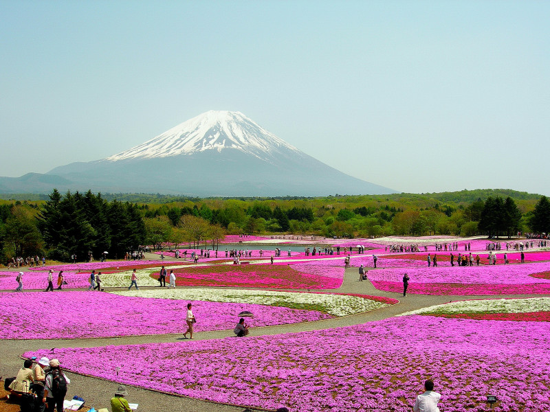 富士山画像記録