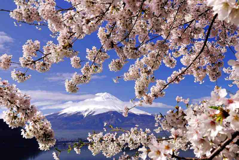 富士山画像記録