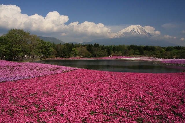 富士山画像作品