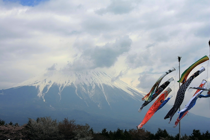 富士山画像記録