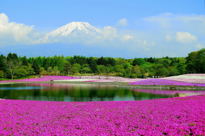 富士山画像記録