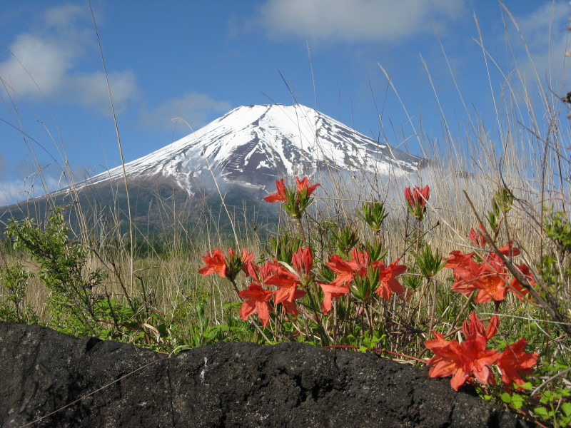 富士山画像作品