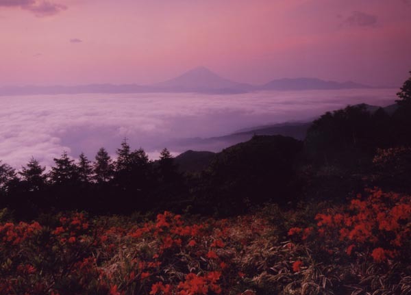 富士山画像作品