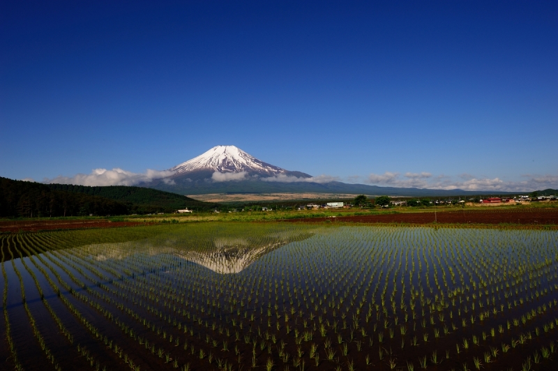 富士山画像作品