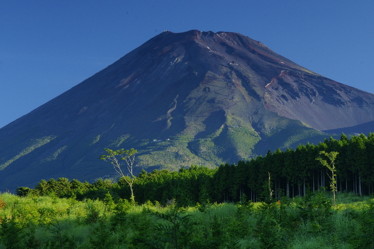 富士山画像作品