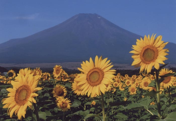 富士山画像作品