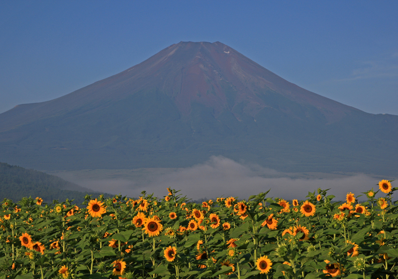 富士山画像作品