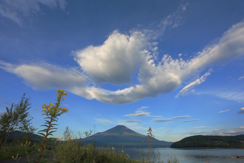 富士山画像作品