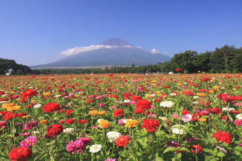 富士山画像記録