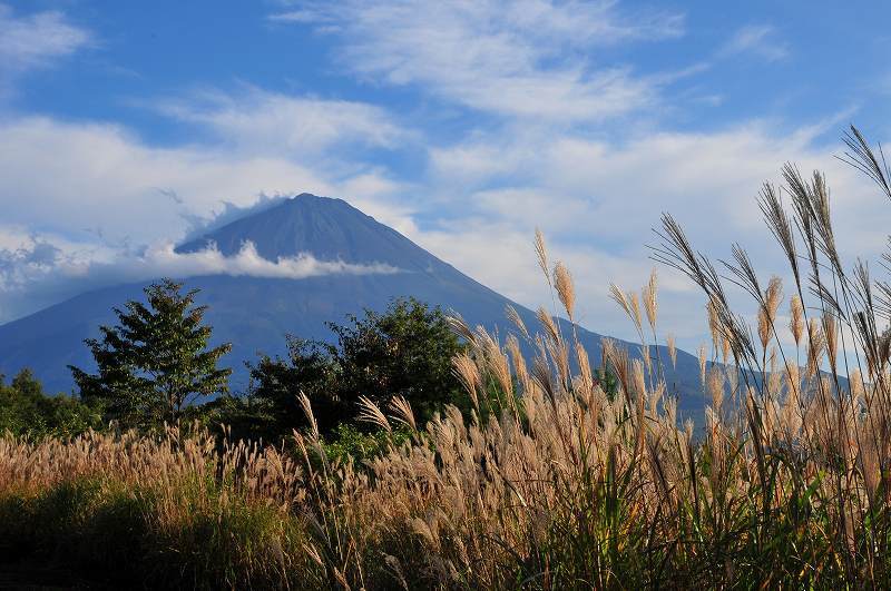 富士山画像作品