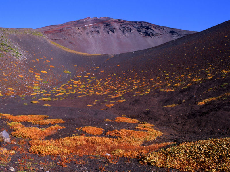 富士山画像作品