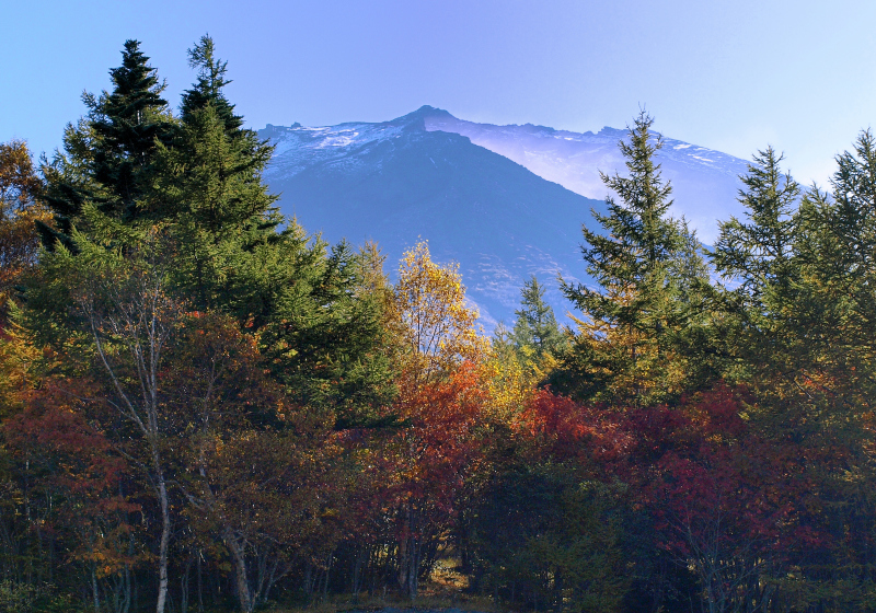 富士山画像作品