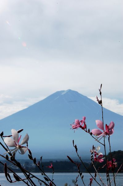 富士山画像記録