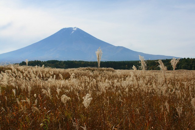 富士山画像作品