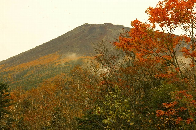 富士山画像作品