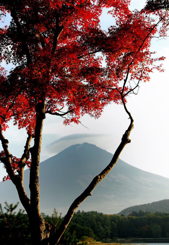 富士山画像記録