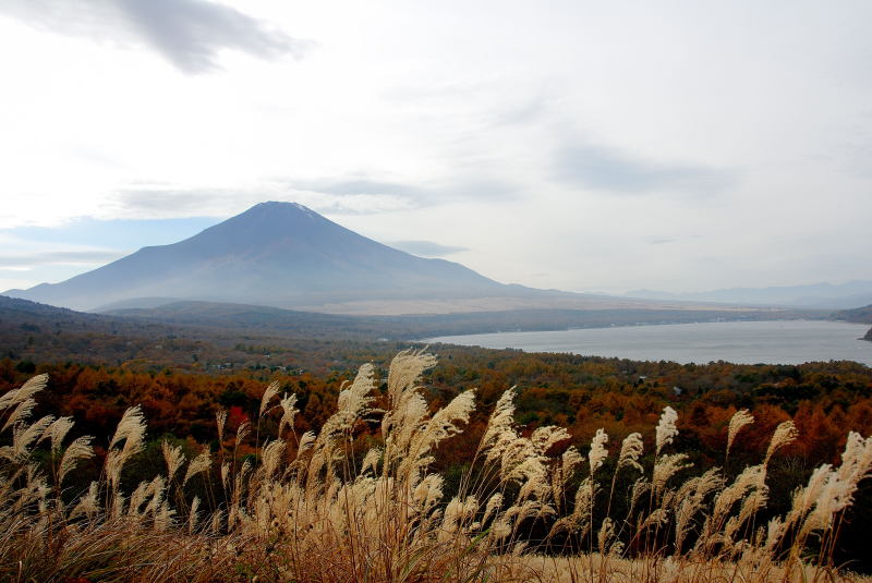 富士山画像記録