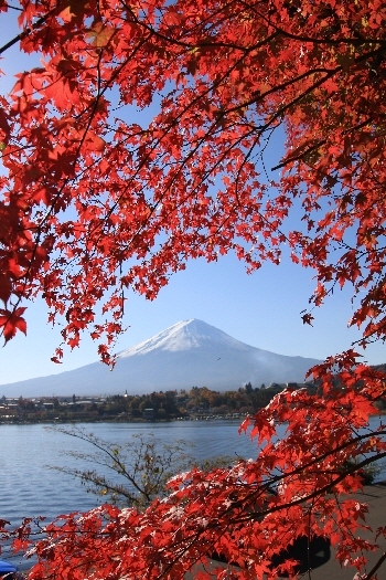 富士山画像作品