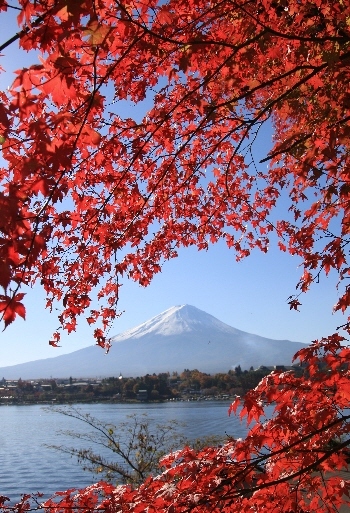 富士山画像記録