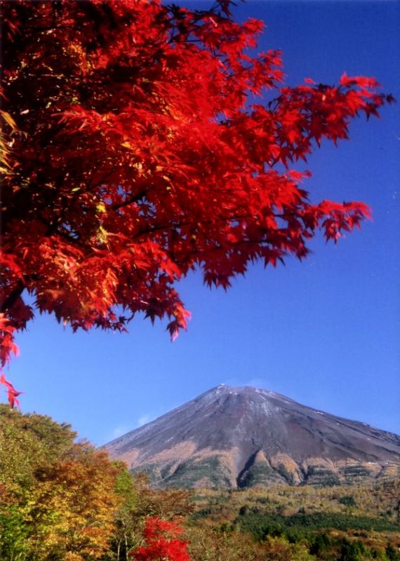 富士山画像記録