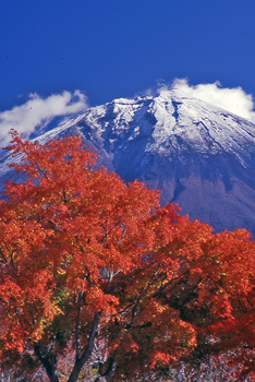 富士山画像作品