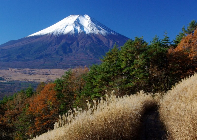 富士山画像作品