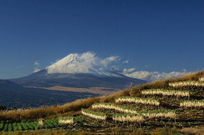 富士山画像作品