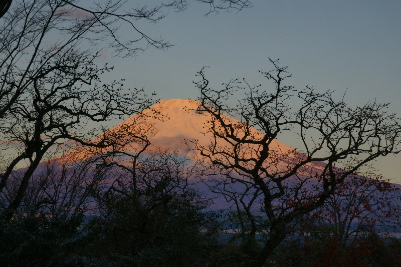 富士山画像作品