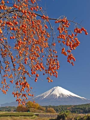 富士山画像作品